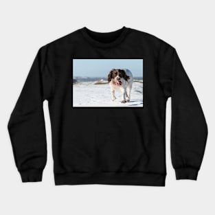 English Springer Spaniel Crewneck Sweatshirt